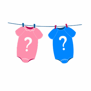 Guimauves personnalisées – Cadeau invité baby shower & gender reveal – Image 8
