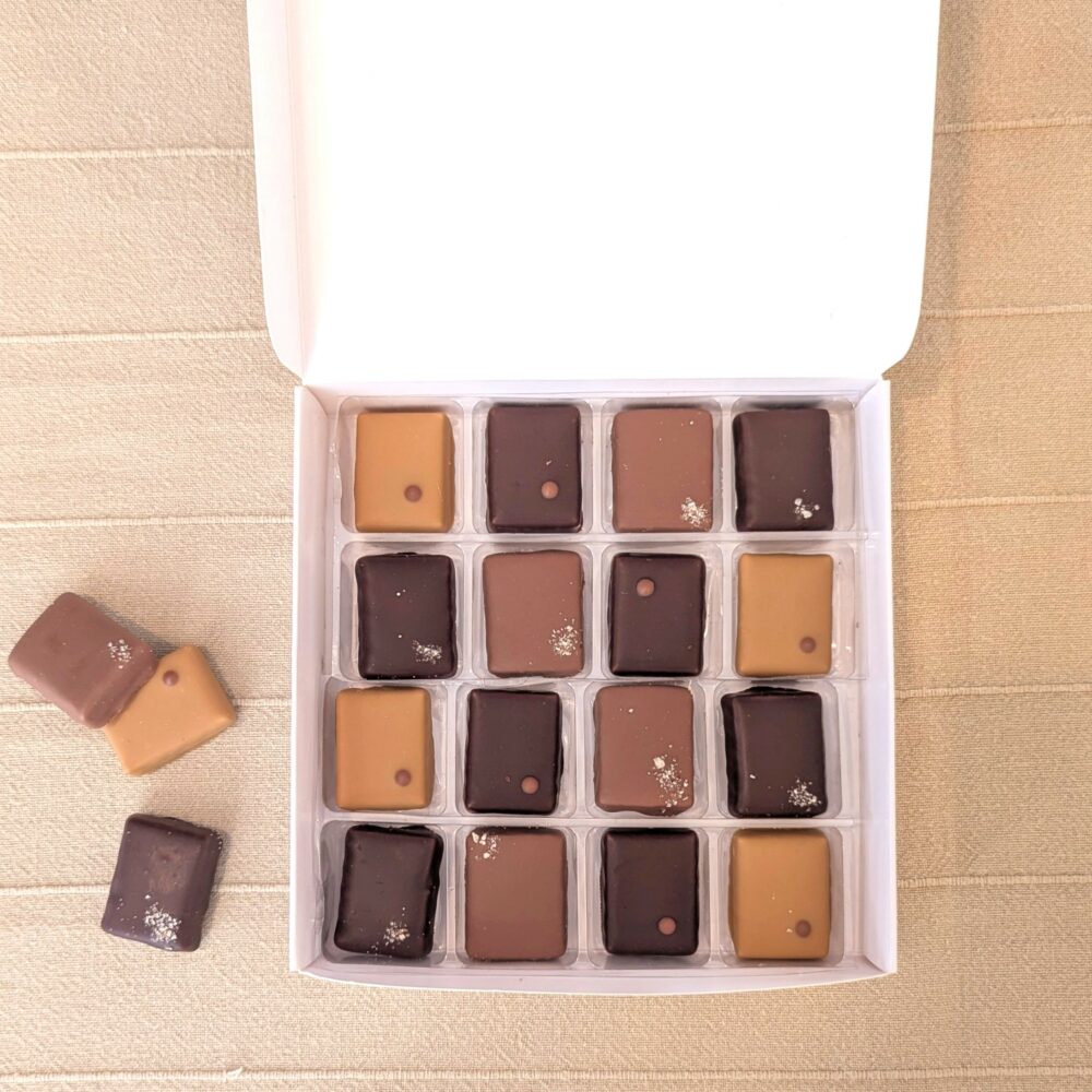 assortiment chocolats valrhona praliné dulcey croustillant lait amande noir gianduja noir